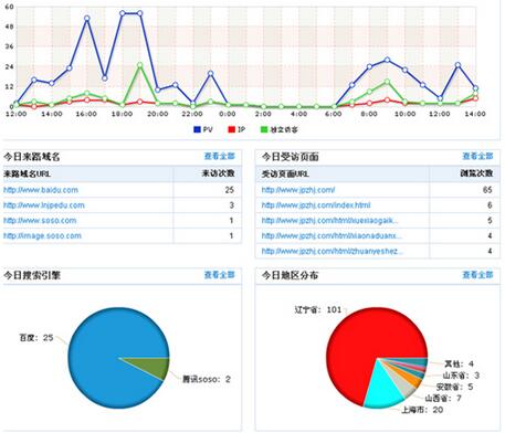 查看购买网站流量